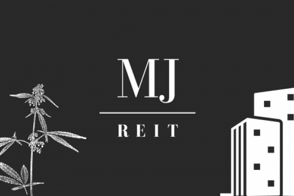 Industrial Cannabis Debt